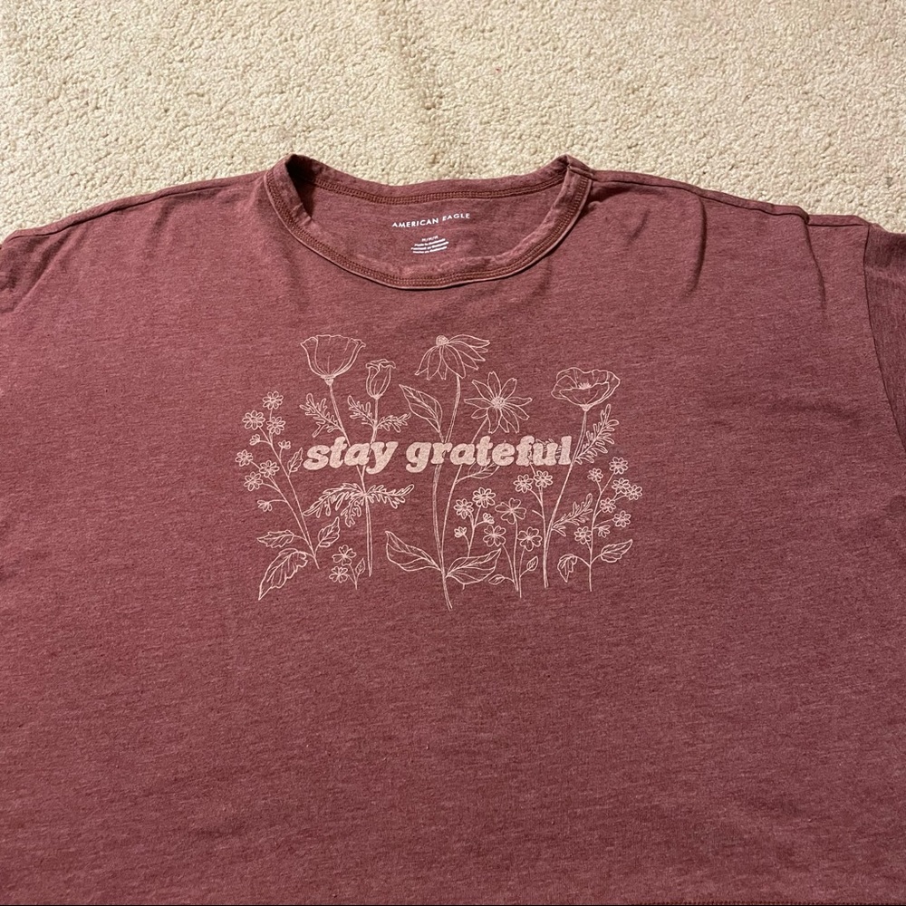 American Eagle Cropped Graphic Tee